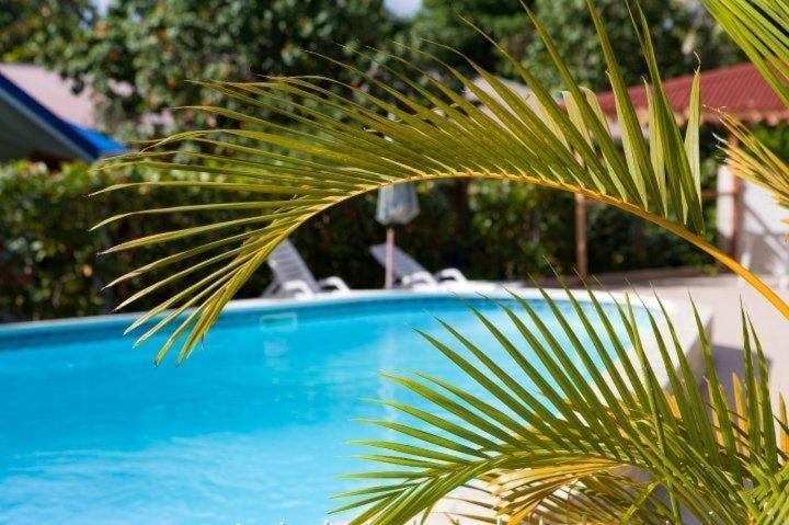 Hotel Le Rotabas Sainte-Anne (Grande-Terre) Exterior foto