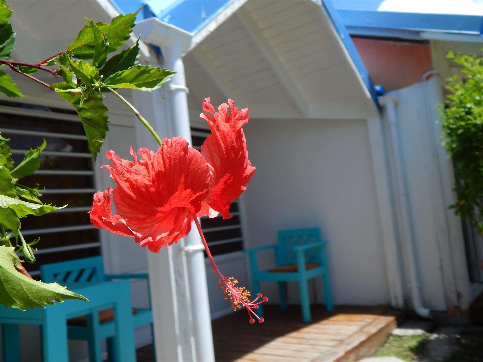 Hotel Le Rotabas Sainte-Anne (Grande-Terre) Exterior foto